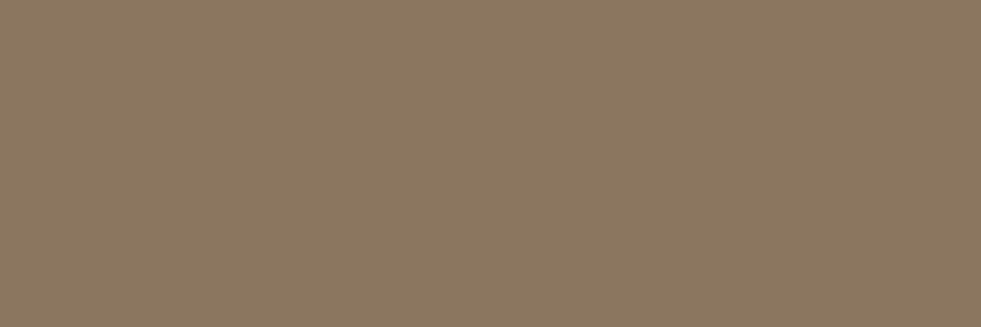 Plain Wall Tile M10x30 | Mocha 1450 Glossy
