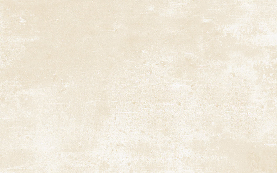 Cimento Wall Tile 25x40 | Beige MIX Matt
