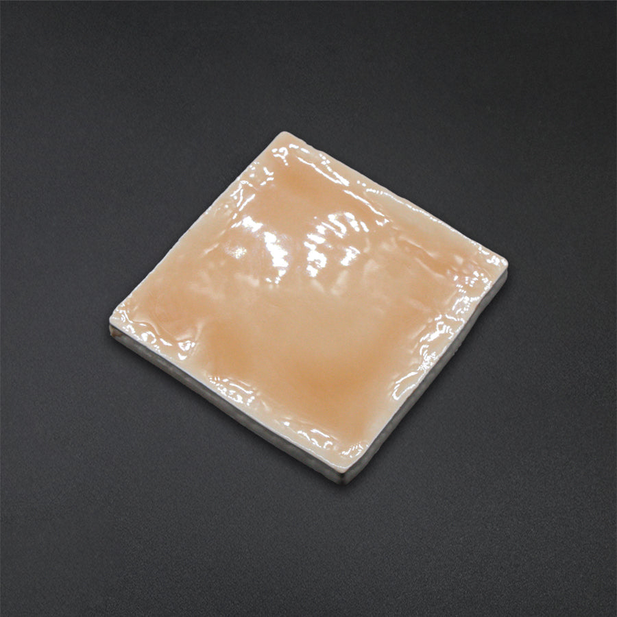 Clássico Wall Tile 10x10 | 152 Light Orange Glossy