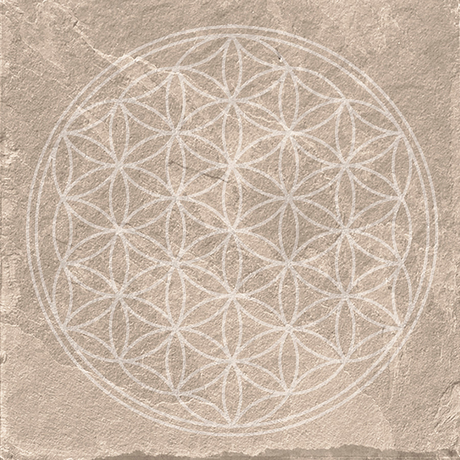 Azulejo Mandala 20x20 | Bege Desenho MIX Mate