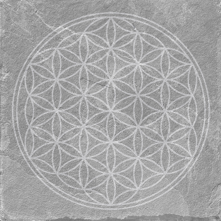 Azulejo Mandala 20x20 | Cinza Desenho MIX Mate