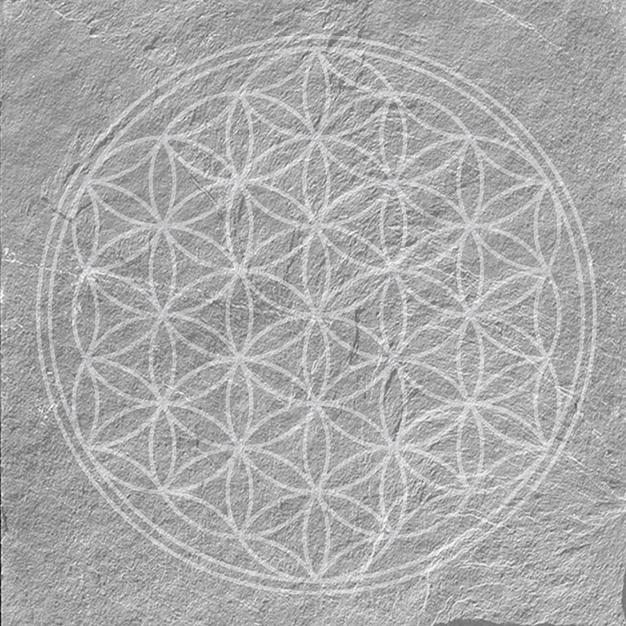 Azulejo Mandala 20x20 | Cinza Desenho MIX Mate