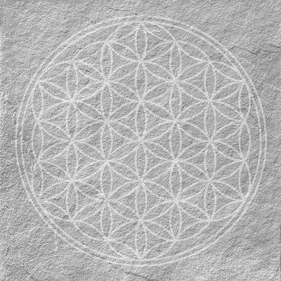 Azulejo Mandala 20x20 | Cinza Desenho MIX Mate