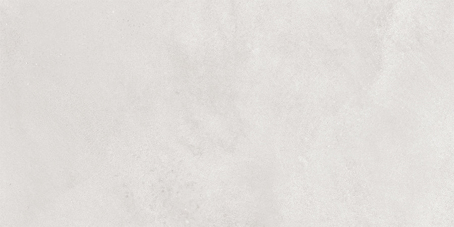 Buxiel Wall Tile 20x40 | Silver MIX Matt