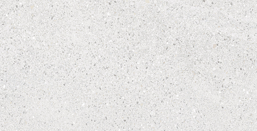 Compacto Wall Tile 25x50 | Silver Glossy