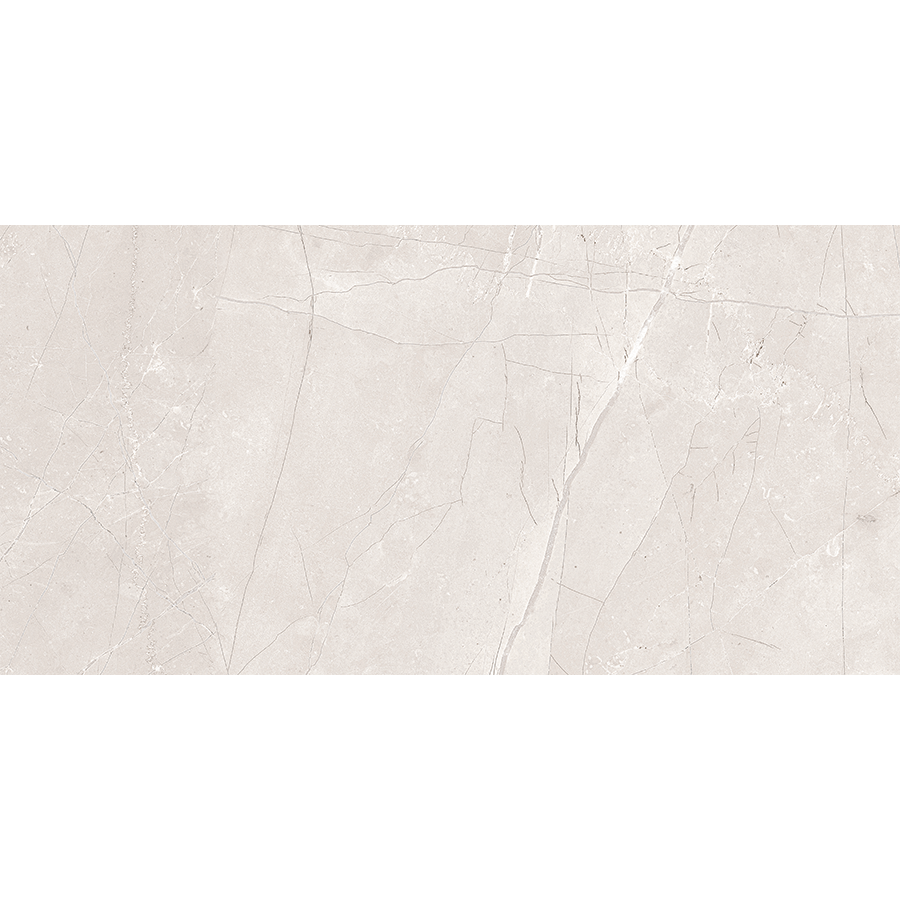 Onix Wall Tile 25x50 | Grey Glossy